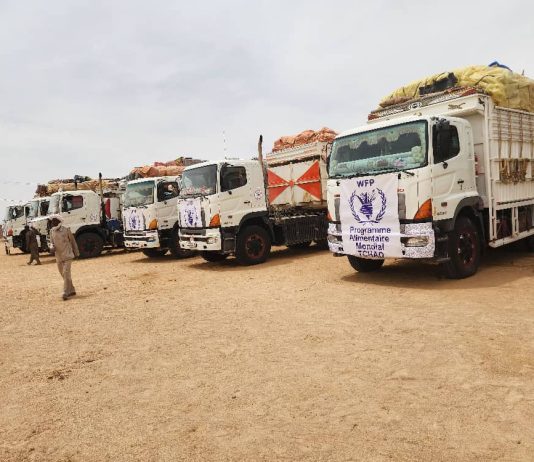 Sudan. 16 camion con 579 tonnellate di merci hanno attraversato il confine da Tine (Ciad) al Nord Darfur (Sudan).