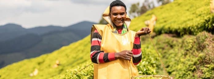 In alta montagna, nella provincia occidentale del Ruanda, Josephine Nyirakarenga lavora in una piantagione di tè in una delle zone più difficili da raggiungere, a 2.400 metri sul livello del mare.