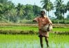 Lancio del Rapporto sullo Stato della Sicurezza Alimentare e della Nutrizione nel Mondo (SOFI) 2024 - 24 luglio 2024