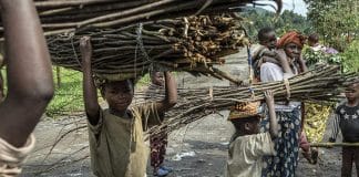 Bambini sfollati trasportano fasci di legna lungo la strada tra Kitchanga e Mweso, Nord Kivu, Repubblica Democratica del Congo.