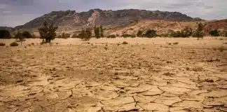 Paesaggio caratterizzato da siccità