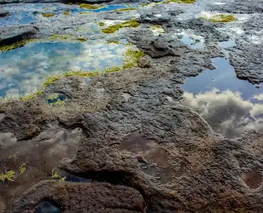 Ripulire il passato: l’UNEP e l’Italia affrontano il problema dell’inquinamento nei Balcani occidentali Terreno e acqua contaminati