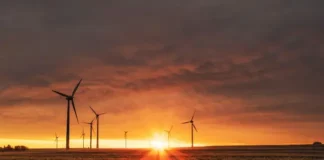 Pale eoliche, energia rinnovabile