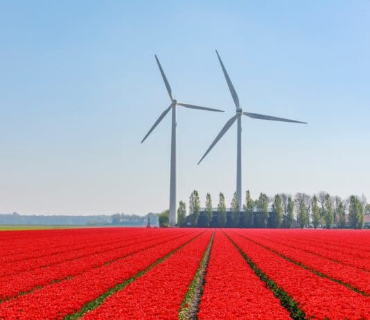 Lelystad-veld-windturbine