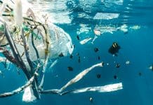 plastforurensing/havet