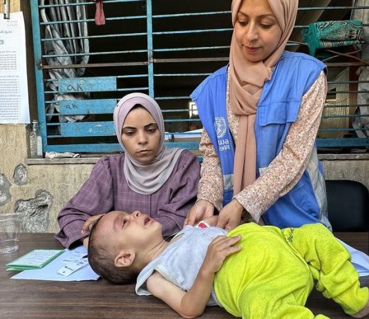 genocide, UN, Israel, Palestine