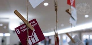 Installations of the SDG´s at the UN HQ