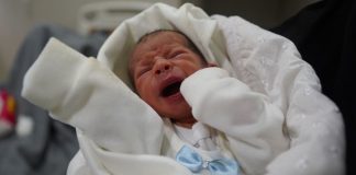 Gazas babyer «er skadet av krigen før de tar sitt første åndedrag» på grunn av underernæring Nyfødte barn i Gaza