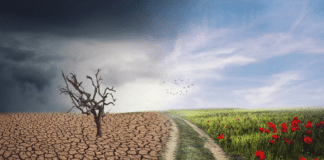 klimaforandringer