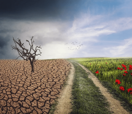 klimaforandringer