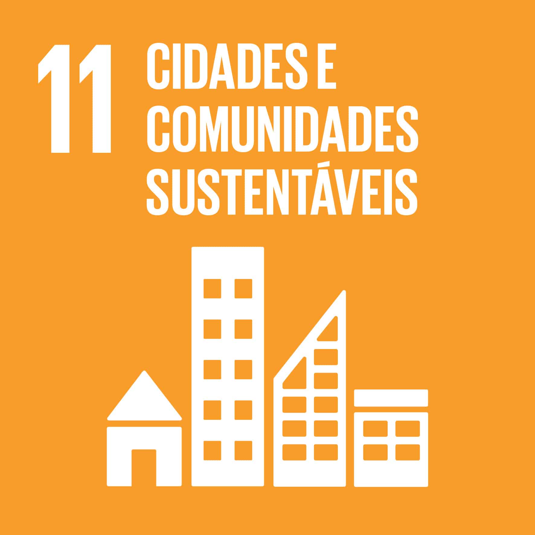 ODS 11 Icon