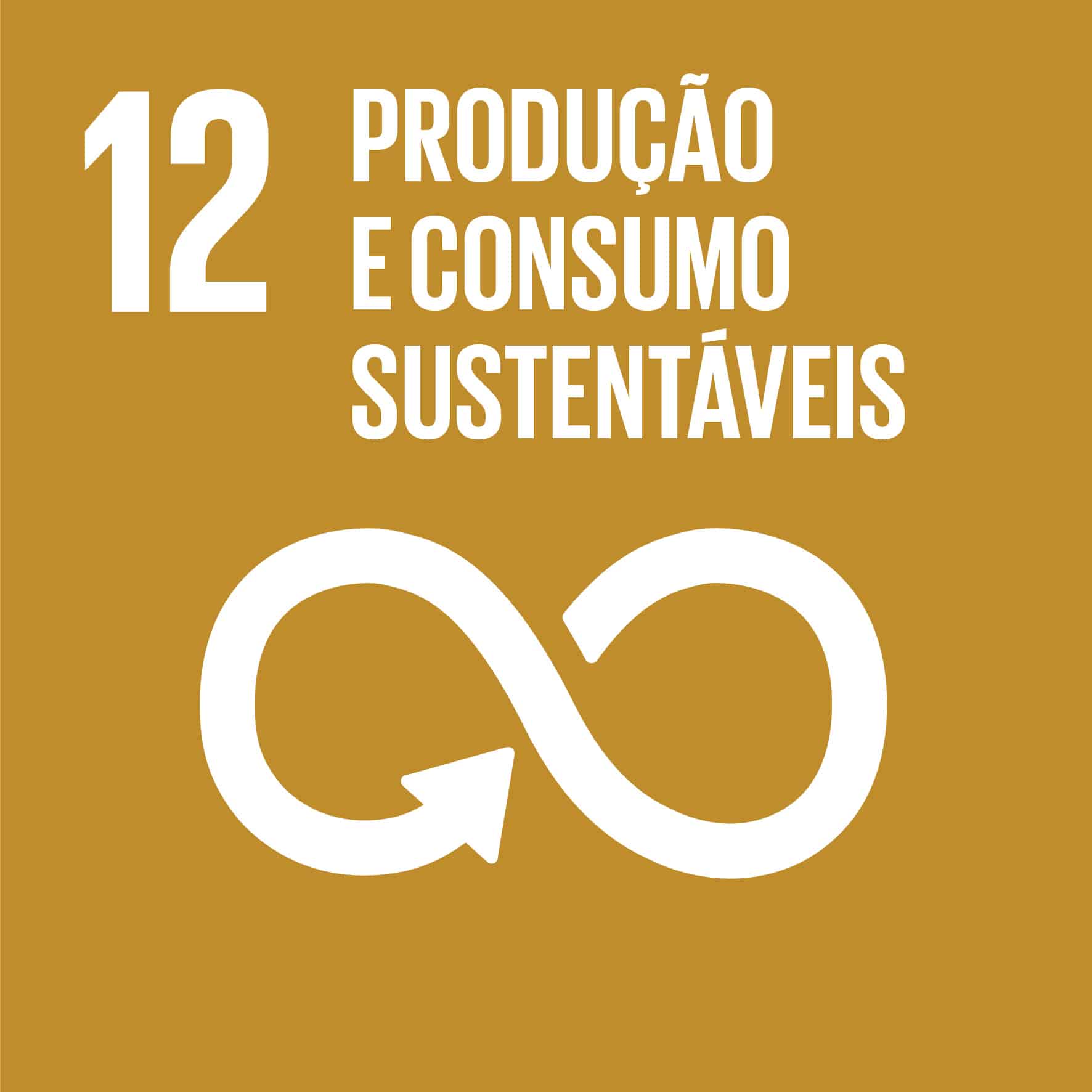 ODS 12 Icon