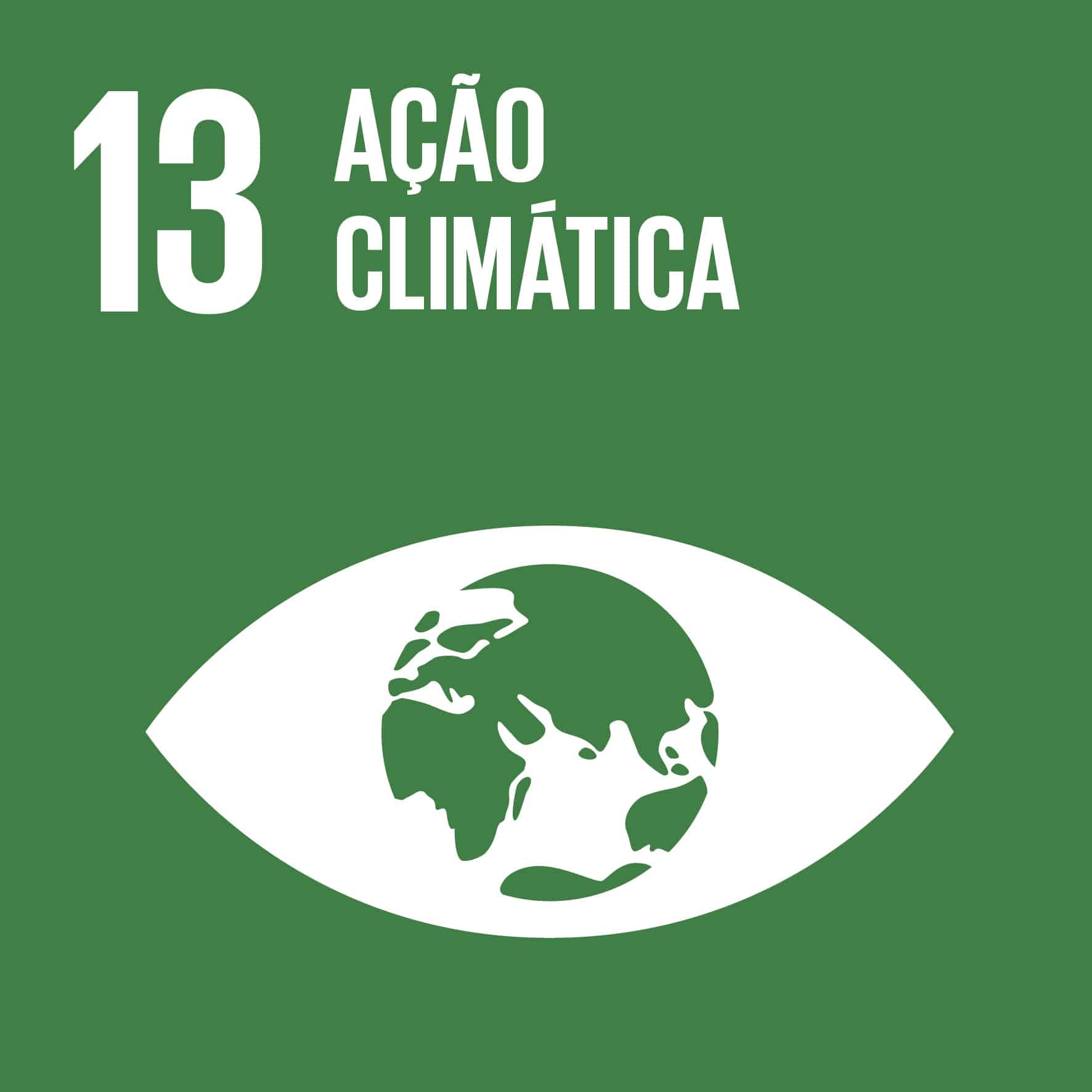 ODS 13 Icon