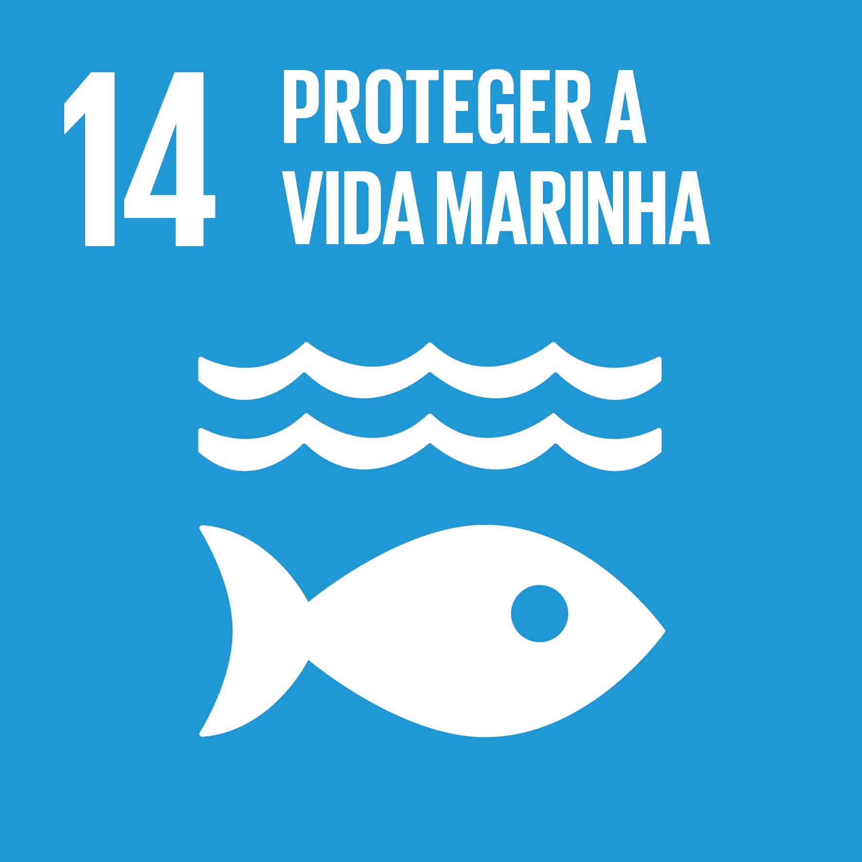 ODS 14 Icon