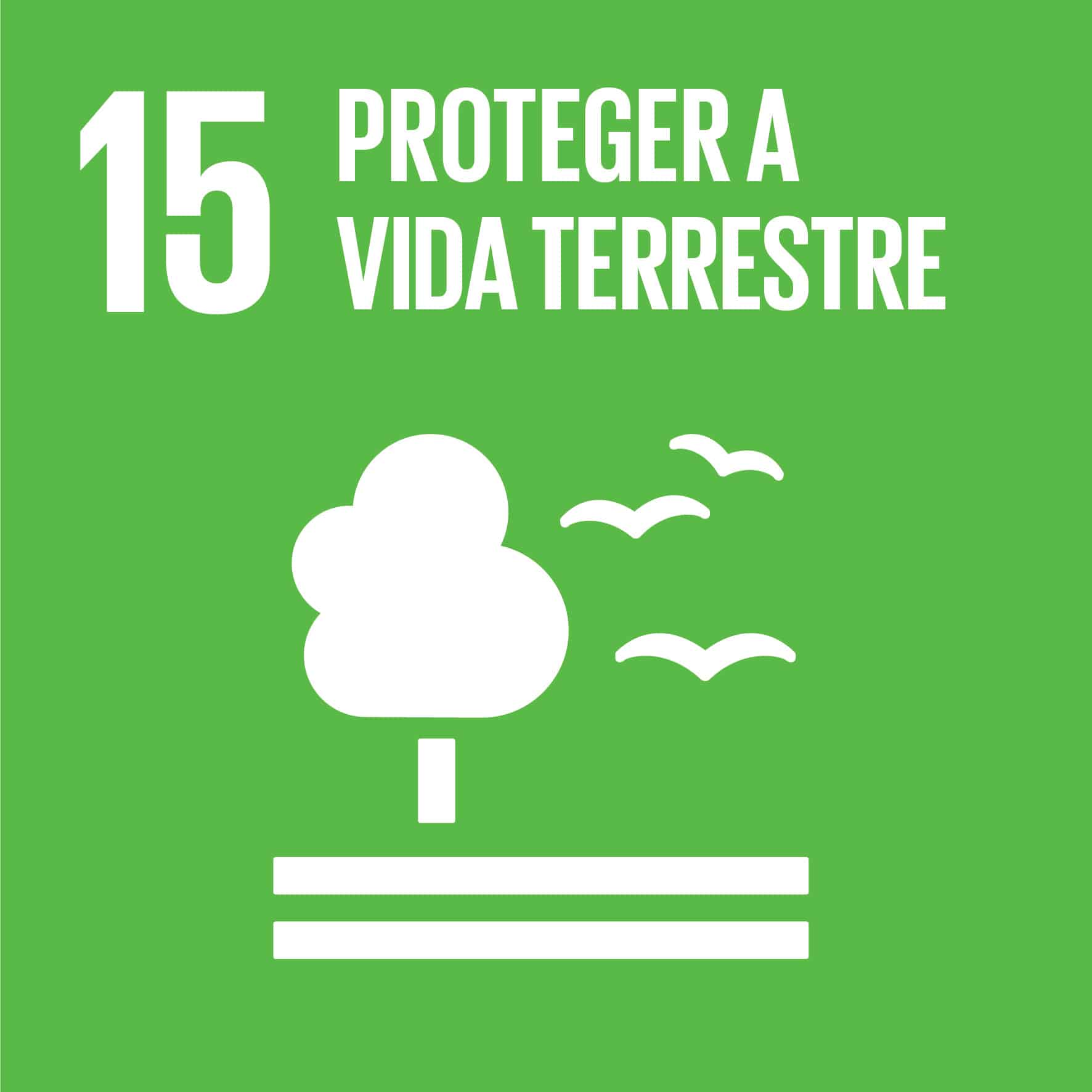 ODS 15 Icon