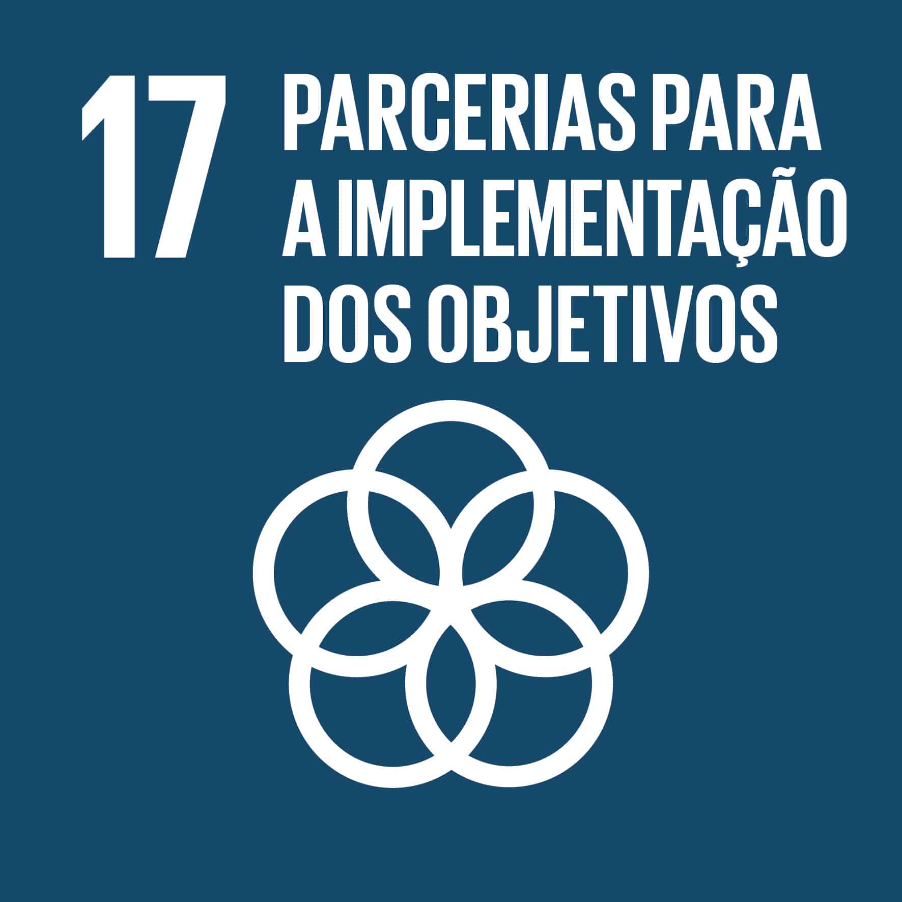 ODS 17 Icon