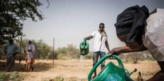 Foto de um Projeto de Impacto Rápido em Gao, Mali, gerido pela Missão Multidisciplinar de Estabilização Integrada das Nações Unidas no Mali (MINUSMA). O projeto agrícola busca melhorar as condições da comunidade e atender às necessidades dos agricultores locais, promovendo o emprego dos jovens, dando apoio às atividades de subsistência, com o objetivo de reduzir a alta taxa de saída de jovens de Gao para outros locais. Além de cultivar e criar aves de capoeira e horticultura, a comunidade local planeia expandir a pecuária para vacas e outros pequenos ruminantes. Foto da ONU / Harandane Dick 13 de maio de 2017, Gao, Mali
