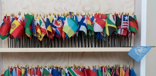 UN flags