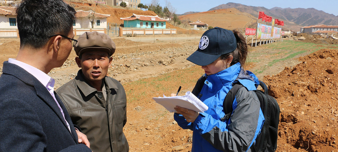 Uma equipe de avaliação da FAO e do PMA visitou o condado de Unpa, na província de North Hwanghae, na República Popular Democrática da Coreia, em abril de 2019.