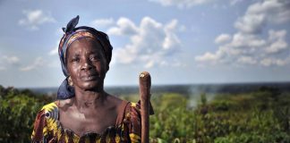 Alimentação 23 May 2012, Mbaiki, Central African Republic - A member of the ACDL group standing in an improved cassava field. The ACDL group of women work in post-processing of the harvested cassava into food products for sale.
FAO Project: OSRO/RAF/912/EC - Regional Cassava Initiative in support of vulnerable smallholders in eastern and central Africa. Enhanced utilization of technologies and innovations for sustainable productivity of cassava in eastern and central Africa.