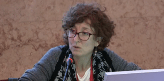 Marta Bronzin, Chefe da Missão da OIM Portugal
