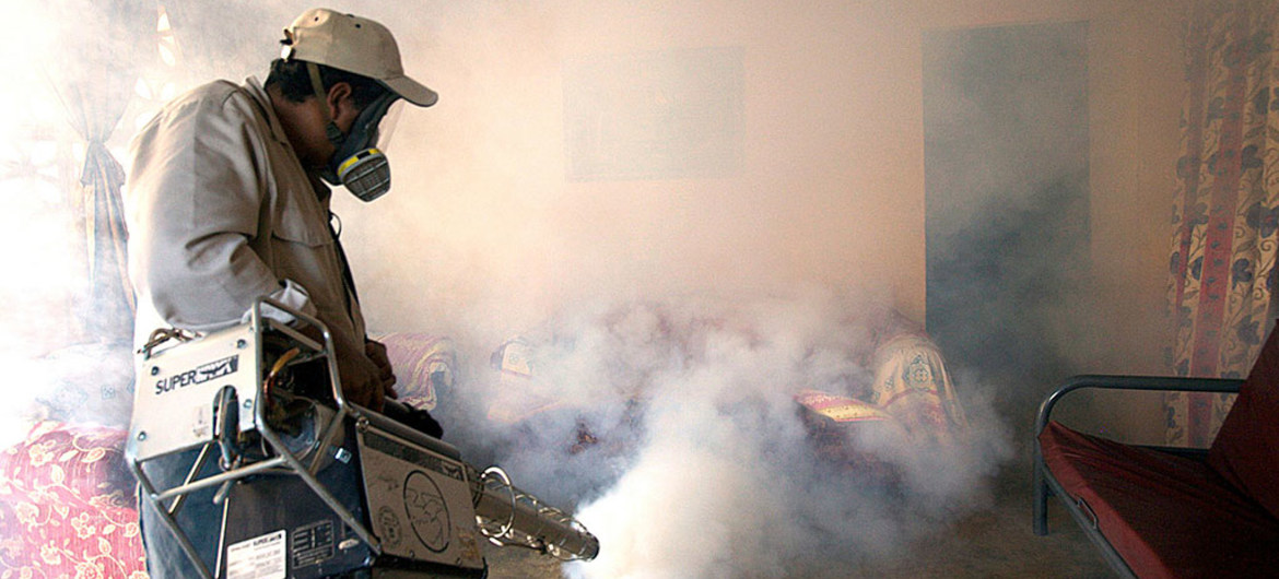 A Aiea lembra que os mosquitos, que transmitem as doenças, estão cada vez mais resistentes a inseticidas