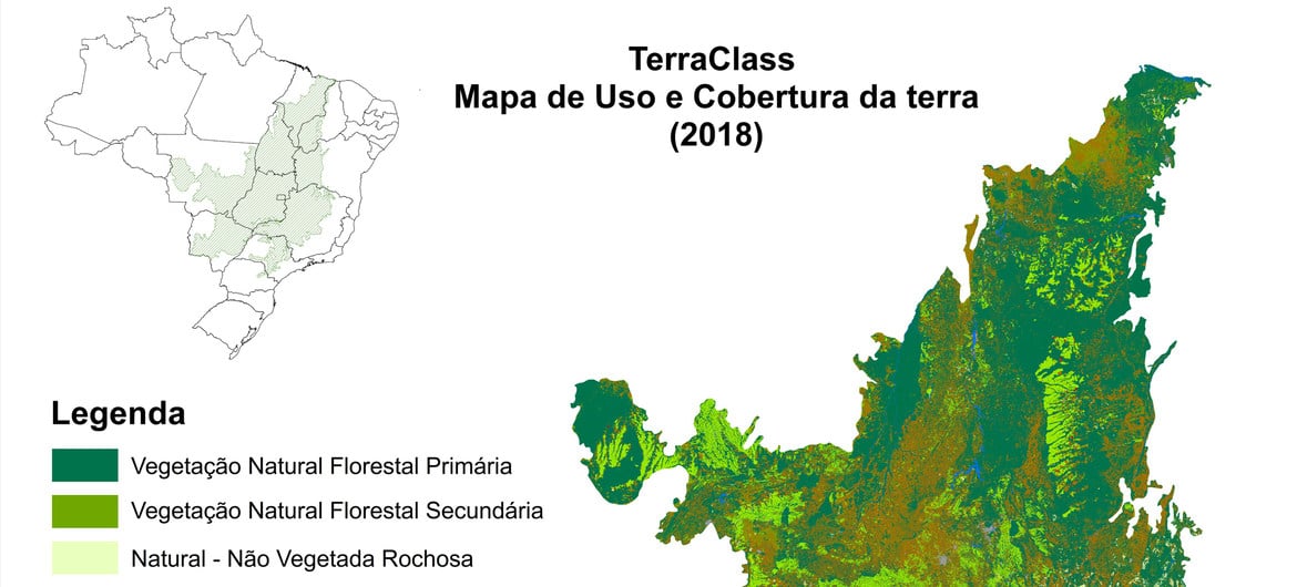 Projeto FIP Monitoramento do Cerrado desenvolveu e disponibiliza dados significativos e públicos sobre o desmatamento