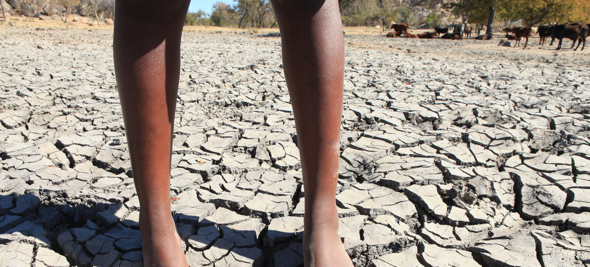 Seca ocorrida em 1981 em Moçambique foi o sétimo desastre natural mais fatal do mundo com 100 mil mortes