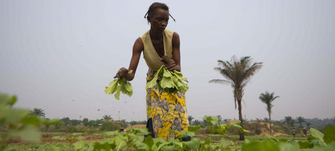 África abriga uma em cada cinco pessoas que enfrentaram fome em 2020