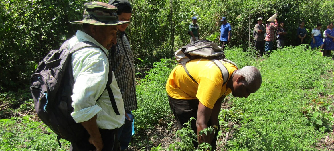 ONU pede ações para assegurar que pessoas tenham acesso a ambientes saudáveis e reforça a participação dos indígenas, “guardiões da biodiversidade”