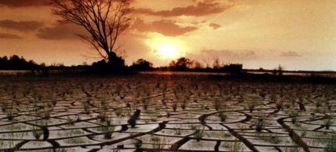 De acordo com a ONU, entre 1983 e 2013, 20% das terras do planeta foram degradadas.