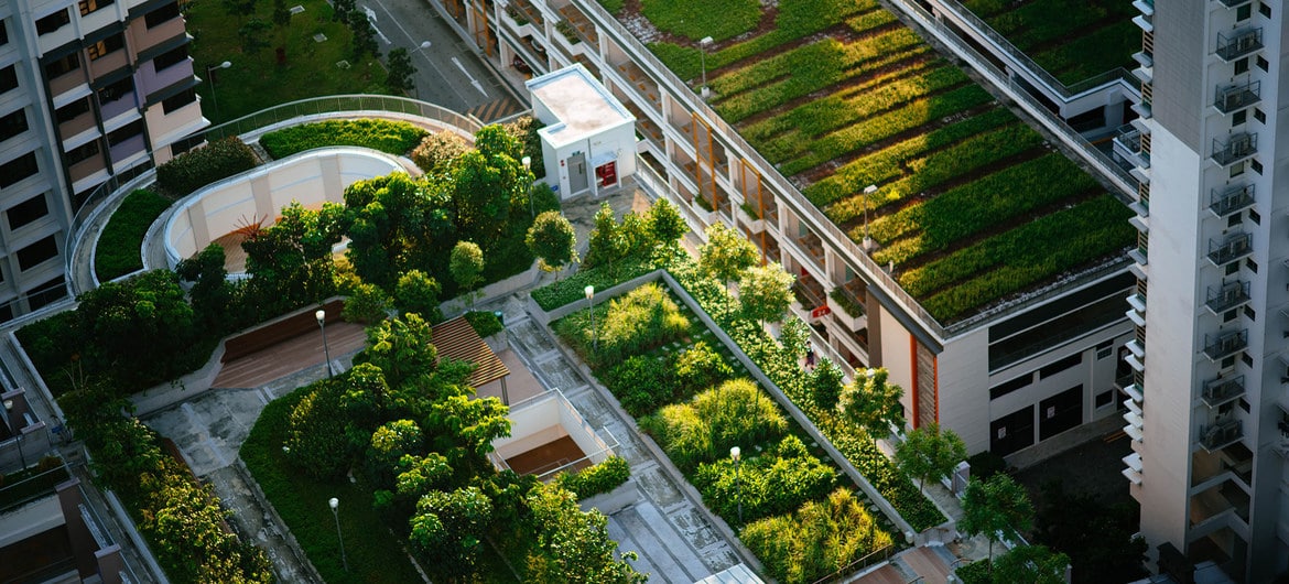 Sugestões para cidades sustentáveis incluem plantar mais árvores nas ruas e prever superfícies frias e reflexivas 