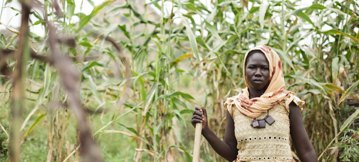 Ifad recomenda investimentos para plantar safras alternativas diversificadas