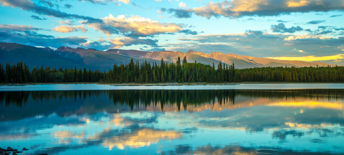 Parque do Lago Boya na Columbia Británica, Canadá. As temperaturas atingiram 49,6 º Celsius