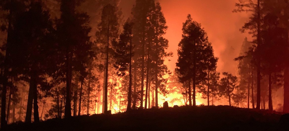 Incêndio florestal na Califórnia em 2020.