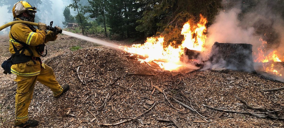  Bombeiros na Califórnia e em outras partes da costa oeste dos Estados Unidos tentaram conter incêndios florestais.