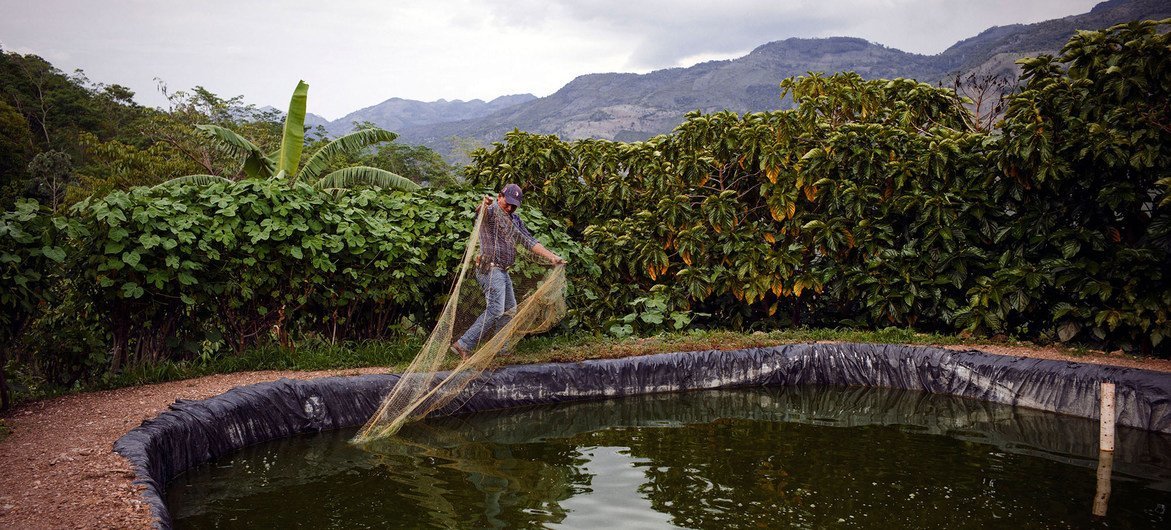 América Latina e Caribe ainda sofrem com os efeitos sociais causados ​​pela crise de saúde, menor espaço fiscal, aumento das pressões inflacionárias e desequilíbrios financeiros