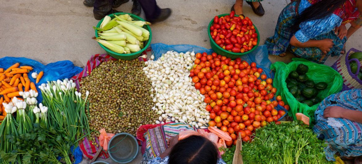 Nova publicação destaca que 193 milhões de pessoas enfrentaram segurança alimentar aguda 