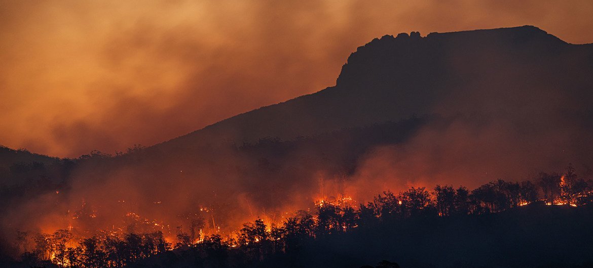 Estratégia para redução de incêndios envolve campanhas com a comunidade. 