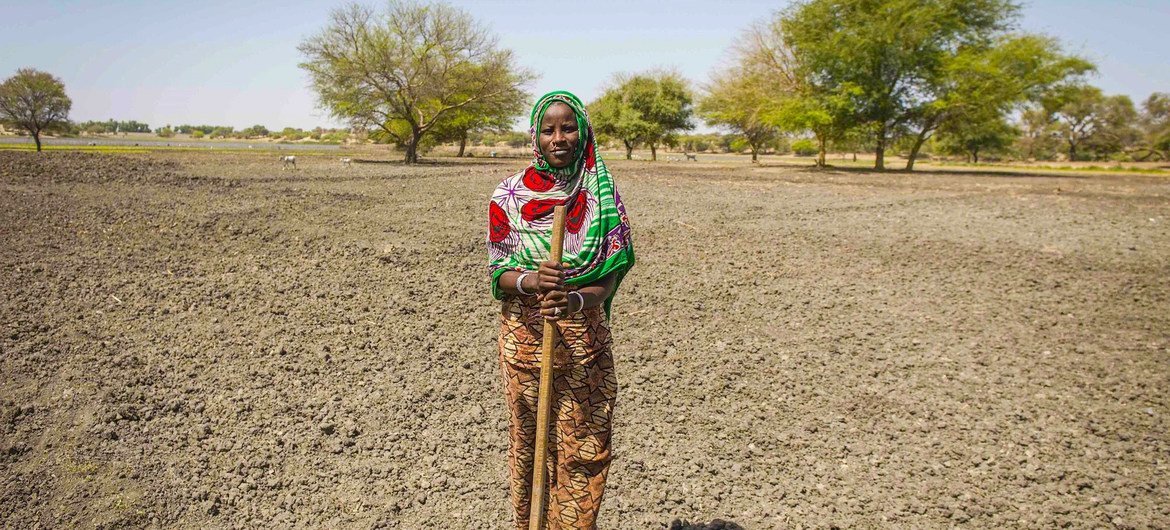 Agricultores na região do Sahel estão lutando para cultivar.