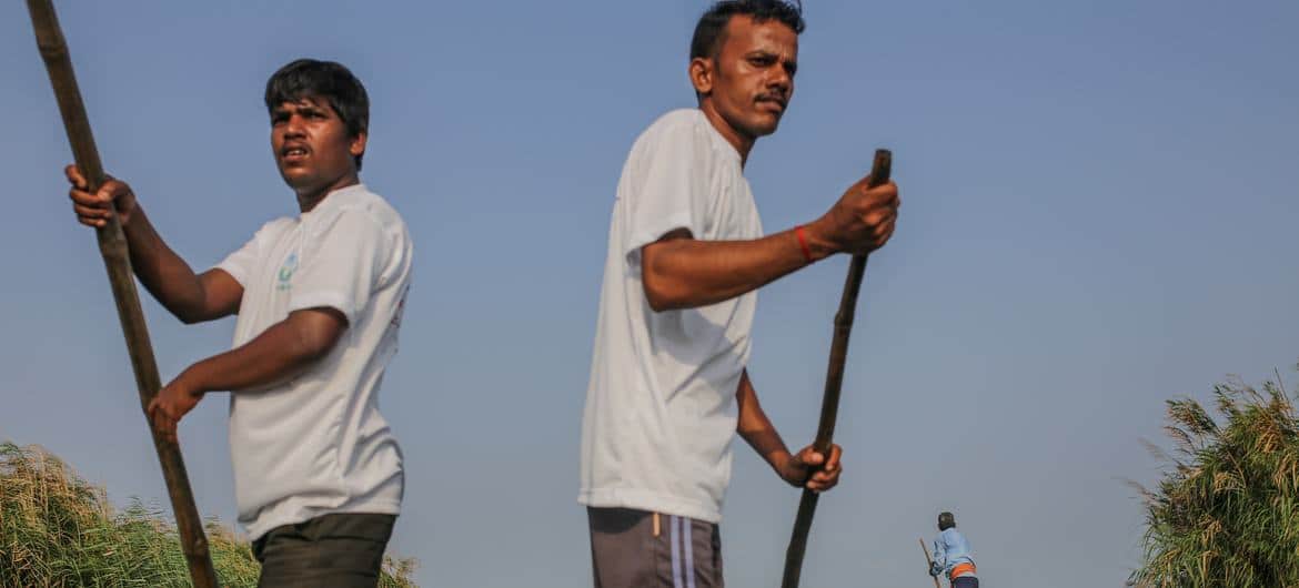 Voluntários e guia turístico de observação de pássaros migratórios remando barco enquanto passam por grama de bambu no pantanal de Chilka, na Índia.