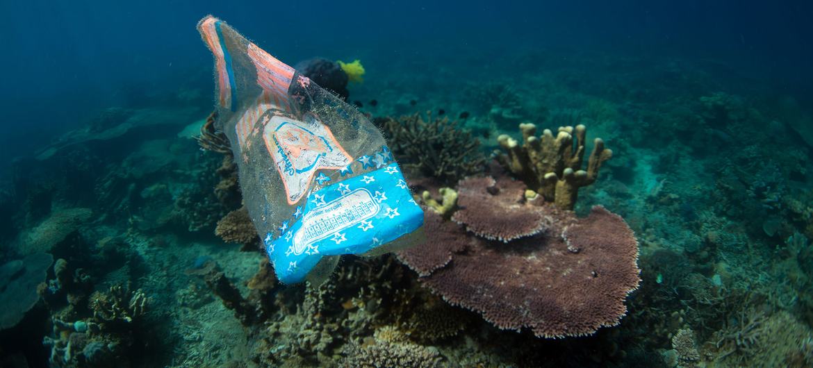 Detritos plásticos marinhos impactaram mais de 600 espécies marinhas