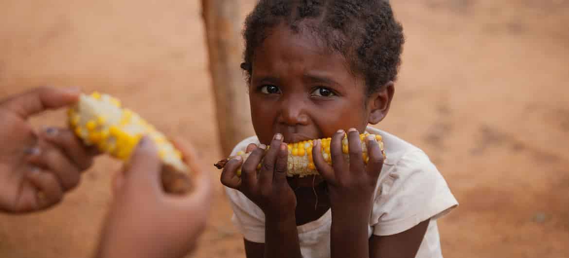 Maioria das 140 milhões de pessoas que sofrem de fome aguda em todo o mundo está concentrada em 10 países