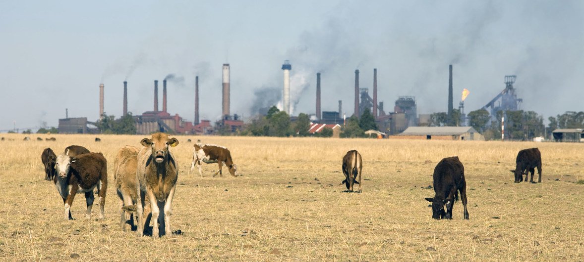 Terrenos agricolas com fábricas ao fundo, na África do Sul