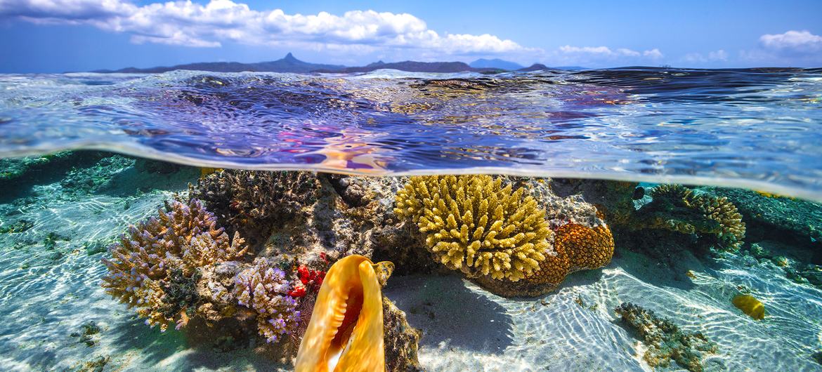 Ilha Mayotte, no Oceano Índico. 