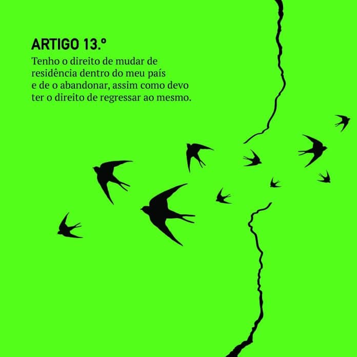 art 13