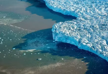 Kongsbreen: Historien om en glaciär i hjärtat av Svalbard Is på kustremsa